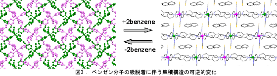 ベンゼン分子の吸着脱に伴う集積構造の可逆的変化